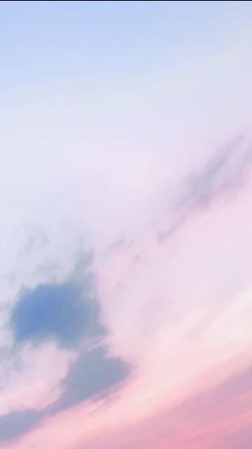 玫瑰雾燕以曦
