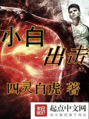小白 july