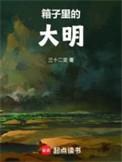 箱子里的大明免费阅读