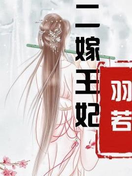 二嫁王妃男主角是谁