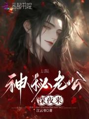 神秘老公深夜来33言情