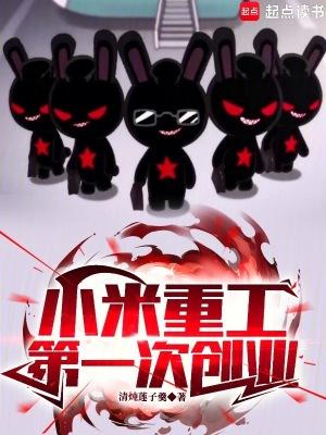 小米重工第一次创业篱笆好