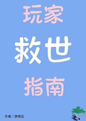 玩家游戏指南
