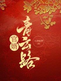 青云官路免费阅读完整版