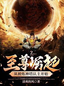 至尊崛起从被炼神塔认主开始 清爽的风