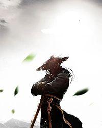武暴乾坤