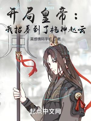 开局我是赵括